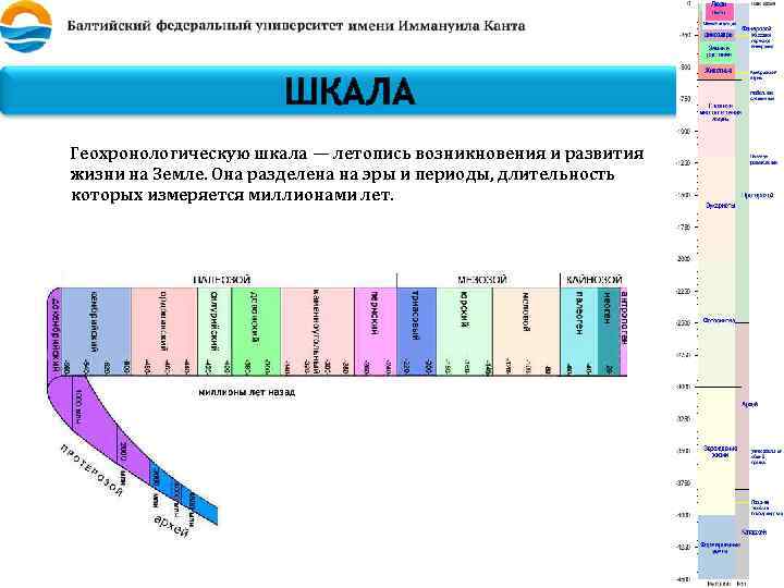 ШКАЛА Геохронологическую шкала — летопись возникновения и развития жизни на Земле. Она разделена на