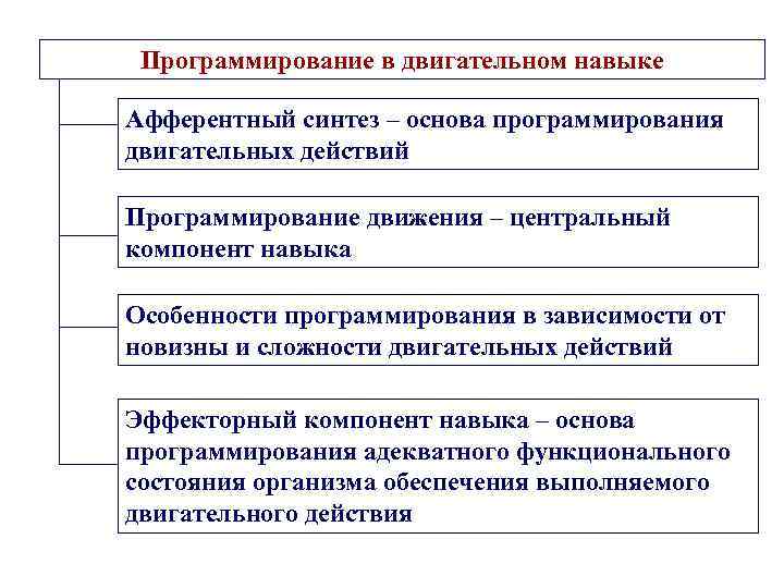 Компонент навыка. Афферентный компонент двигательного навыка. Что предшествует программированию двигательного навыка?. Программирование движений. Формирование двигательного компонента.