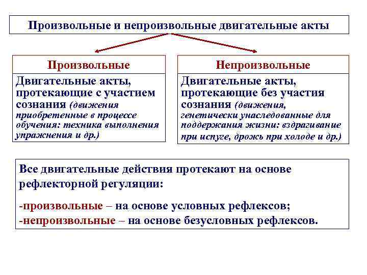 Восприятие наглядного изображения двигательного действия