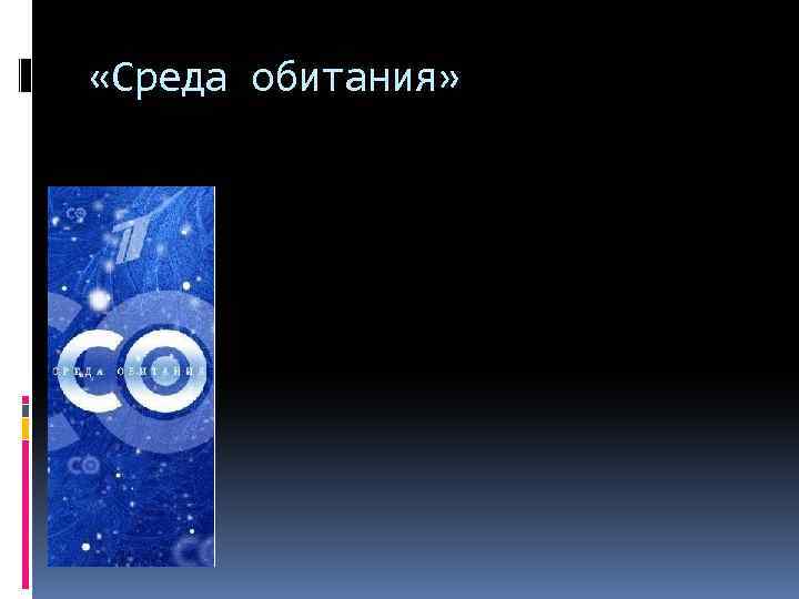  «Среда обитания» 