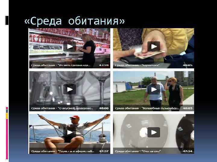  «Среда обитания» 