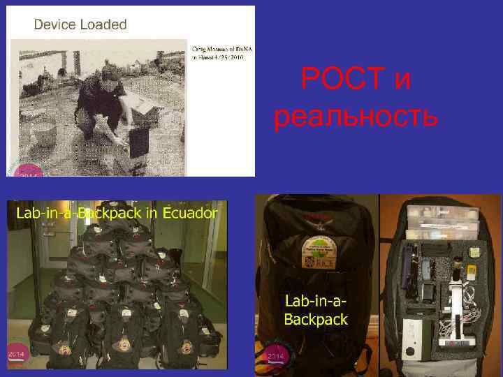 РОСТ и реальность 