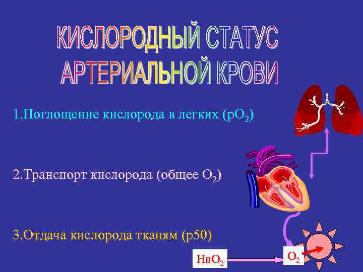 Поглощение кислорода. Поглощение кислорода кровью. Вобрать кислорода в лёгкие. Поглощение кислорода легкими в картинках.