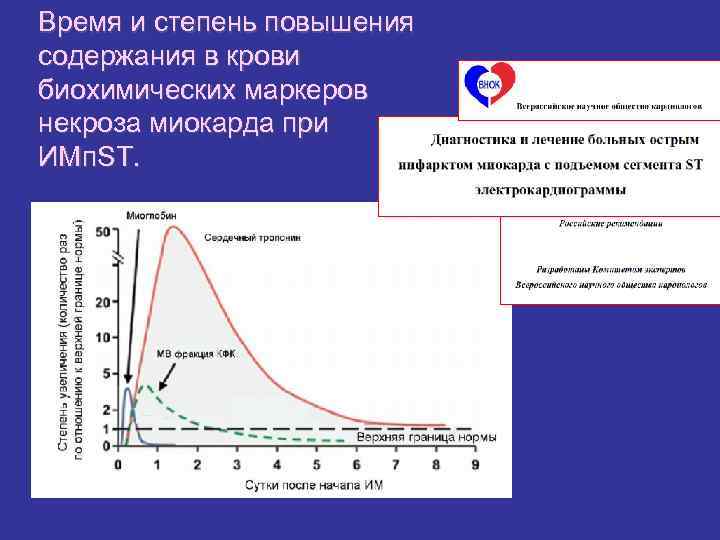 Время и степень повышения содержания в крови биохимических маркеров некроза миокарда при ИМп. ST.