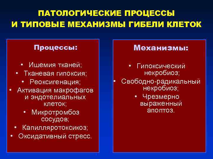 ПАТОЛОГИЧЕСКИЕ ПРОЦЕССЫ И ТИПОВЫЕ МЕХАНИЗМЫ ГИБЕЛИ КЛЕТОК Процессы: • Ишемия тканей; • Тканевая гипоксия;