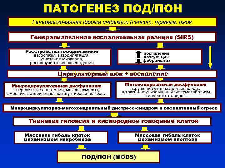 ПАТОГЕНЕЗ ПОД/ПОН Генерализованная форма инфекции (сепсис), травма, ожог Генерализованная воспалительная реакция (SIRS) Расстройства гемодинамики: