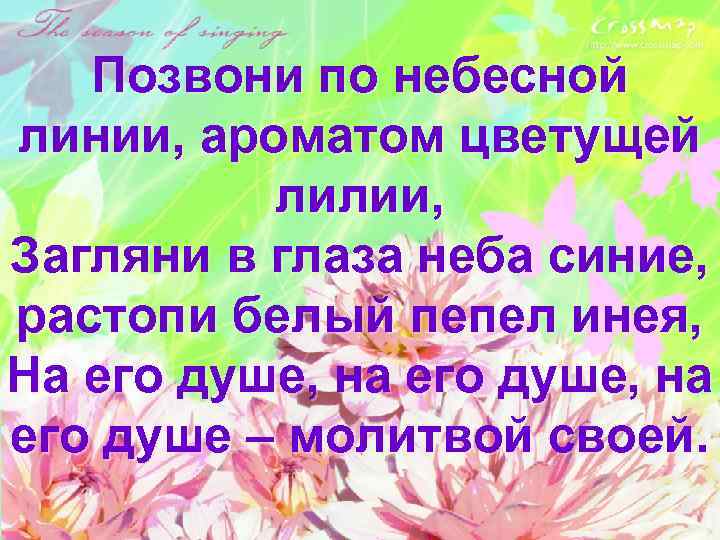 Позвони по небесной линии, ароматом цветущей лилии, Загляни в глаза неба синие, растопи белый