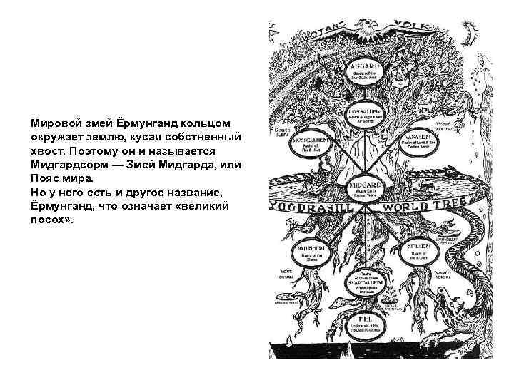 Мировой змей Ёрмунганд кольцом окружает землю, кусая собственный хвост. Поэтому он и называется Мидгардсорм