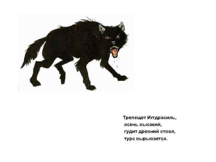 Трепещет Иггдрасиль, ясень высокий, гудит древний ствол, турс вырывается. 