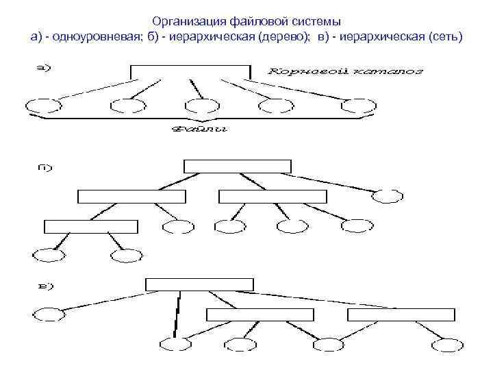 Организация файловой системы а) одноуровневая; б) иерархическая (дерево); в) иерархическая (сеть) 