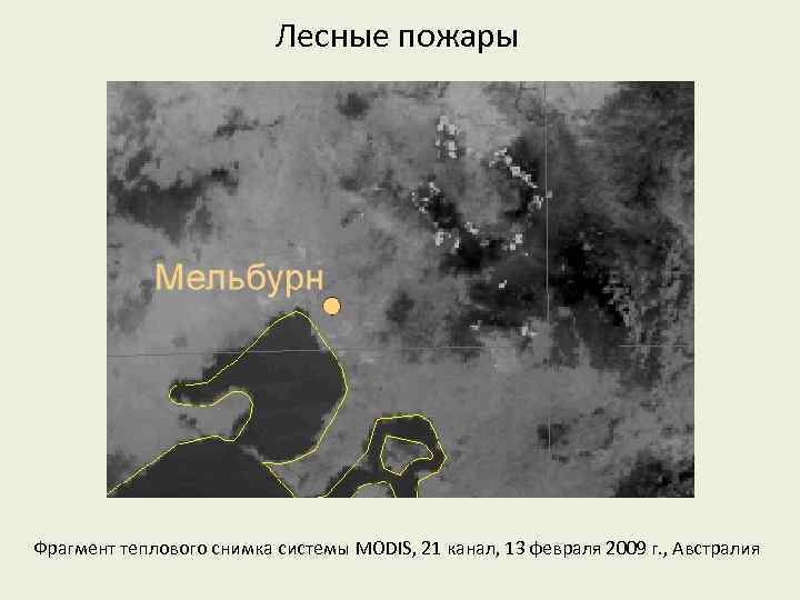 Лесные пожары Фрагмент теплового снимка системы MODIS, 21 канал, 13 февраля 2009 г. ,