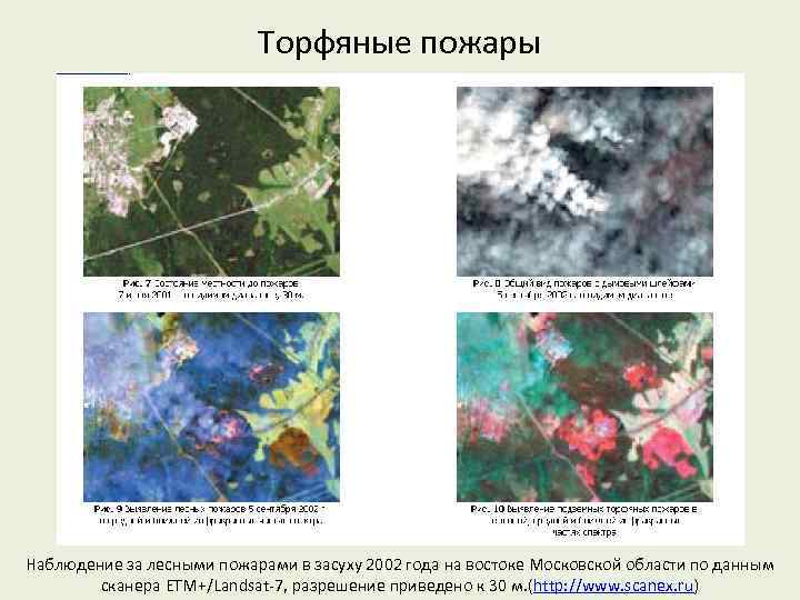 Торфяные пожары Наблюдение за лесными пожарами в засуху 2002 года на востоке Московской области
