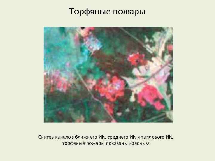 Торфяные пожары Синтез каналов ближнего ИК, среднего ИК и теплового ИК, торфяные пожары показаны