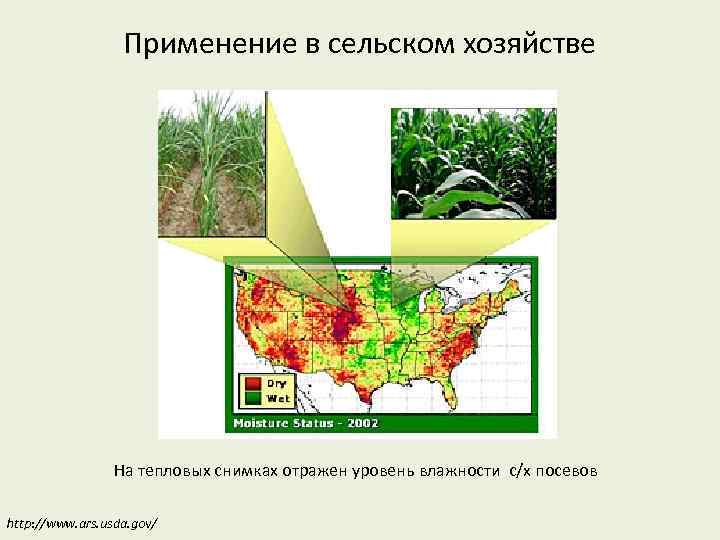 Применение в сельском хозяйстве На тепловых снимках отражен уровень влажности с/х посевов http: //www.