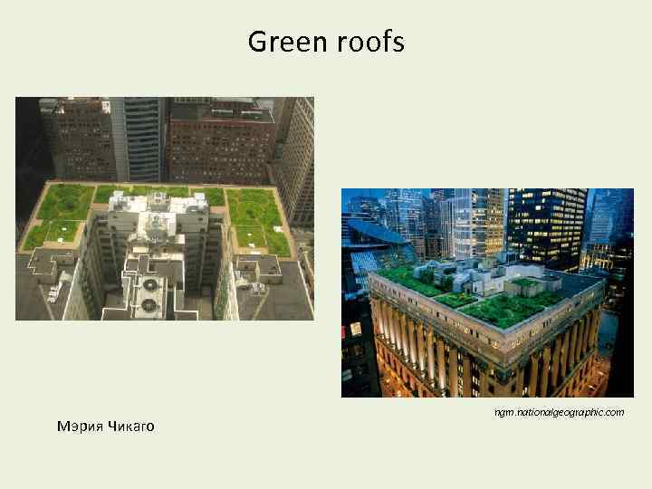 Green roofs Мэрия Чикаго ngm. nationalgeographic. com 