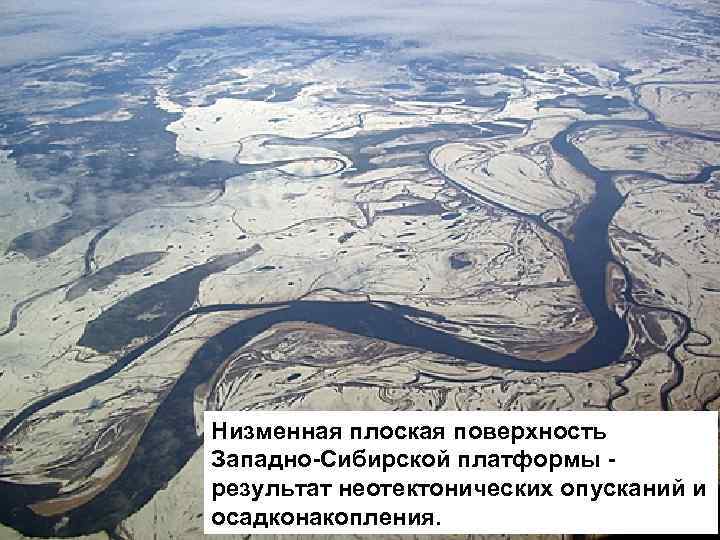 Низменная плоская поверхность Западно-Сибирской платформы результат неотектонических опусканий и осадконакопления. 