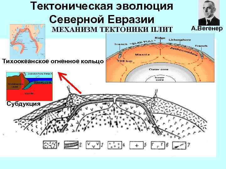 Тектоническая эволюция Северной Евразии МЕХАНИЗМ ТЕКТОНИКИ ПЛИТ Тихоокеанское огненное кольцо Субдукция А. Вегенер 