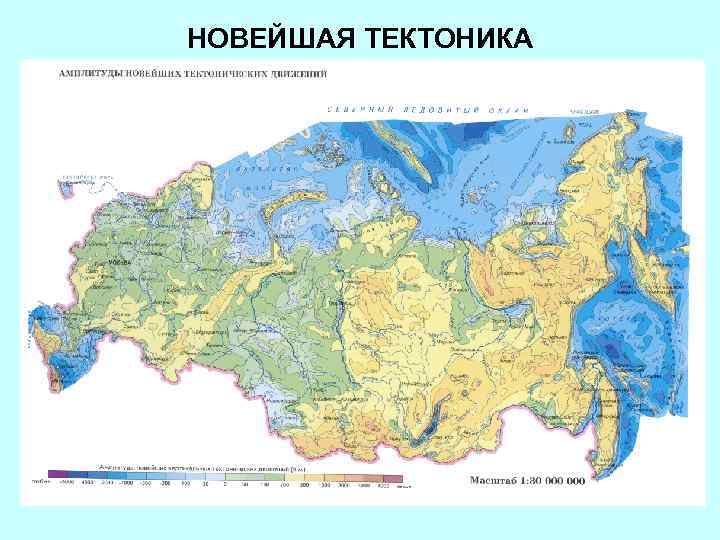 НОВЕЙШАЯ ТЕКТОНИКА 