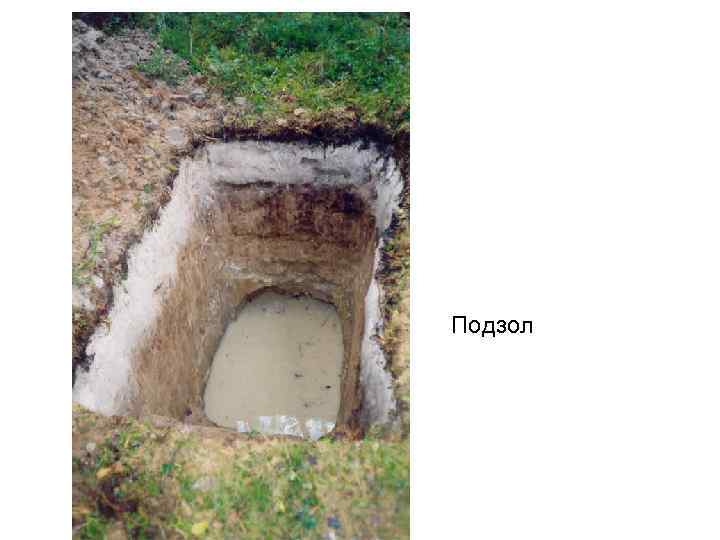 Подзол 