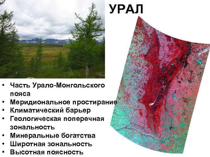 УРАЛ • Часть Урало-Монгольского пояса • Меридиональное простирание • Климатический барьер • Геологическая поперечная