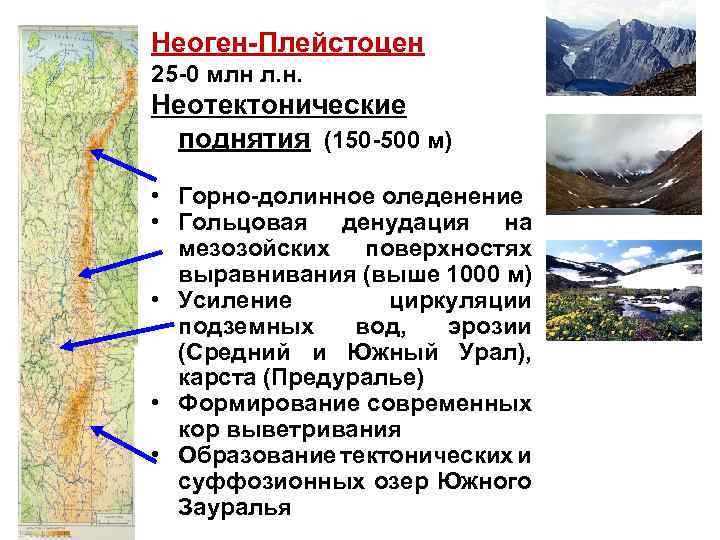 Неоген-Плейстоцен 25 -0 млн л. н. Неотектонические поднятия (150 -500 м) • Горно-долинное оледенение
