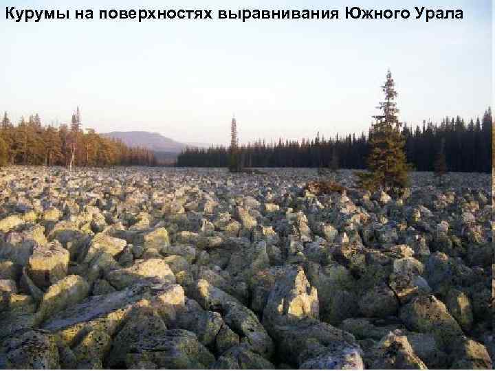 Курумы на поверхностях выравнивания Южного Урала 