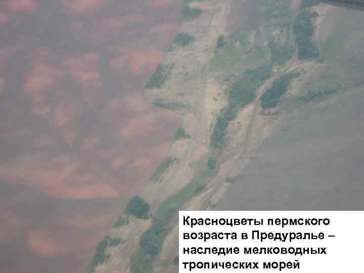 Красноцветы пермского возраста в Предуралье – наследие мелководных тропических морей 