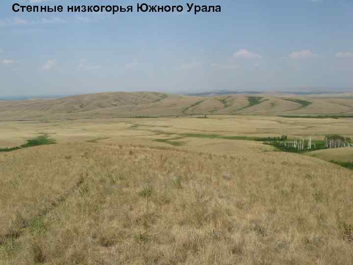 Степные низкогорья Южного Урала 