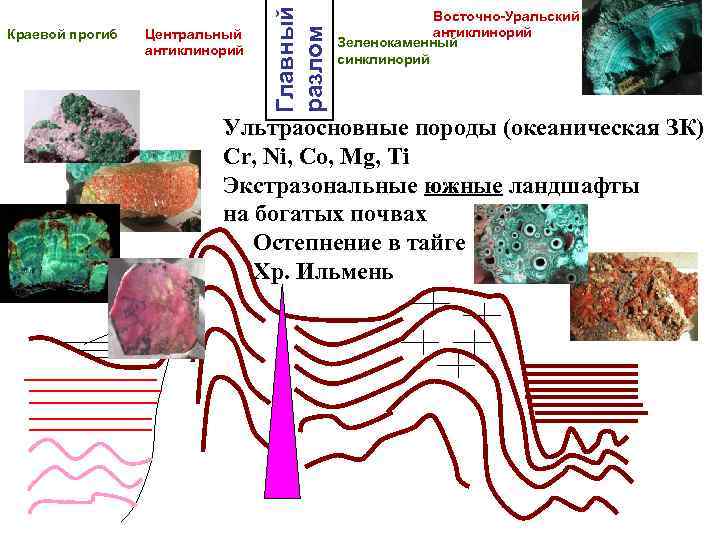 Центральный антиклинорий Главный разлом Краевой прогиб Восточно-Уральский антиклинорий Зеленокаменный синклинорий Ультраосновные породы (океаническая ЗК)
