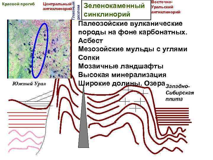 Центральный антиклинорий Южный Урал Восточно. Уральский антиклинорий Зеленокаменный синклинорий Палеозойские вулканические породы на фоне