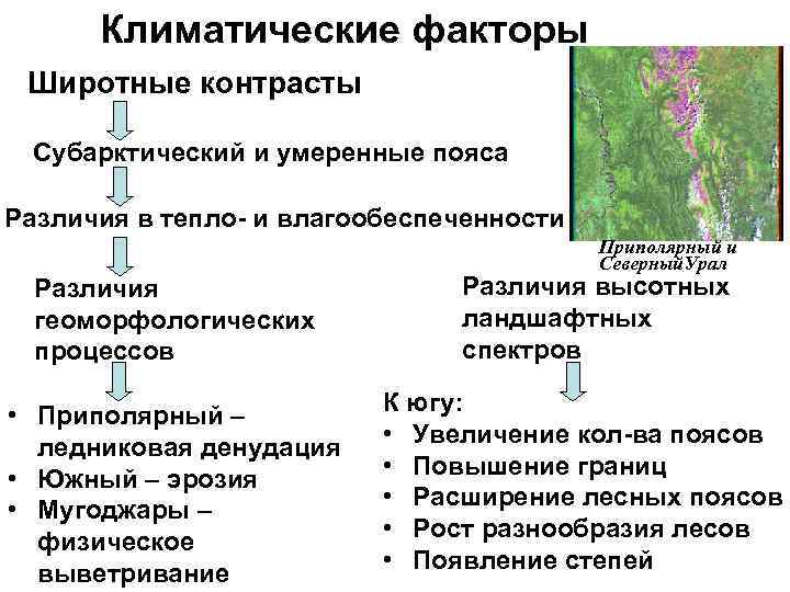 Климатические факторы Широтные контрасты Субарктический и умеренные пояса Различия в тепло- и влагообеспеченности Различия