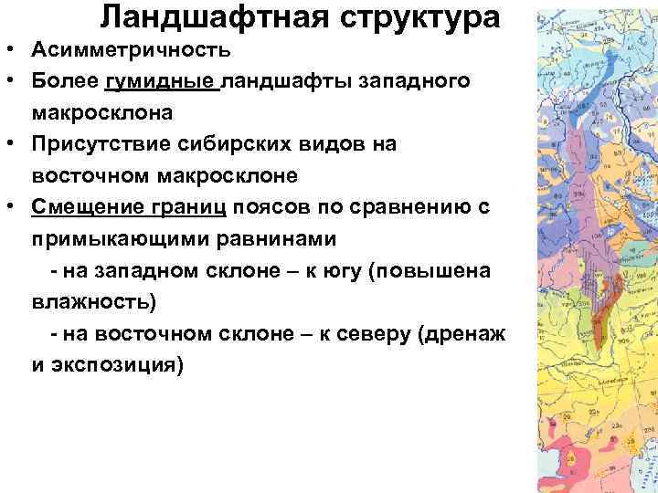 Ландшафтная структура • Асимметричность • Более гумидные ландшафты западного макросклона • Присутствие сибирских видов