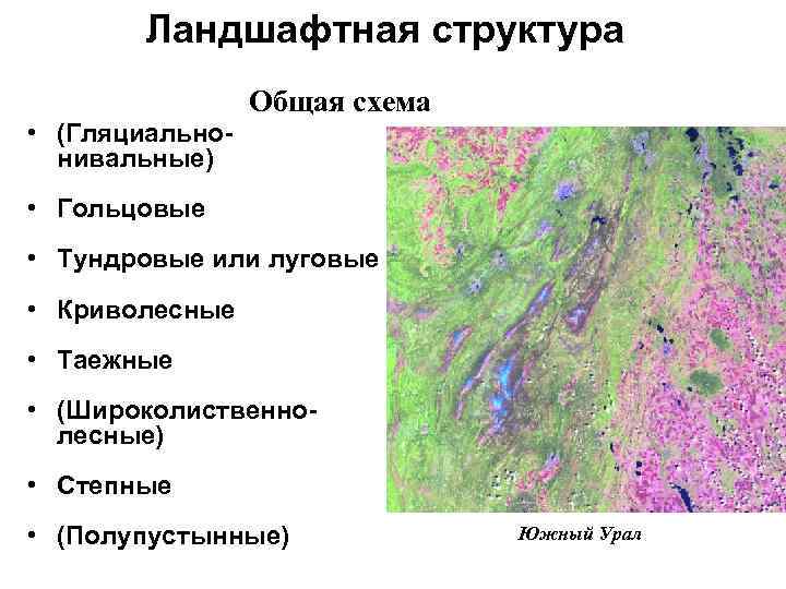 Структура ландшафта