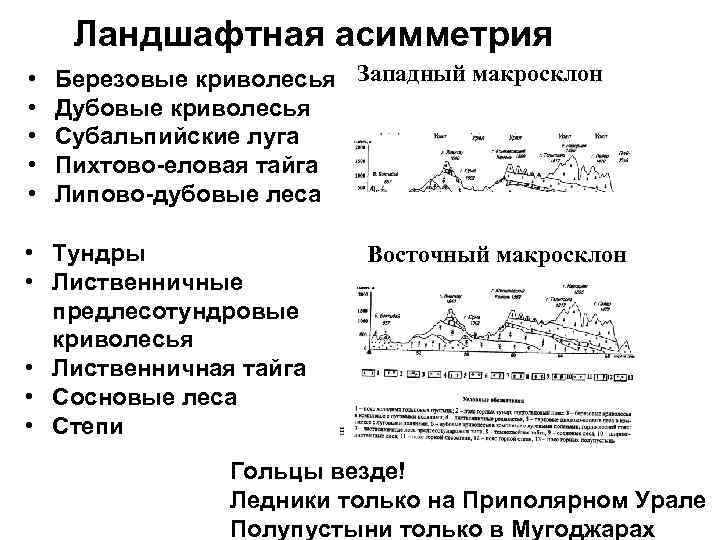 Ландшафтная асимметрия • • • Березовые криволесья Западный макросклон Дубовые криволесья Субальпийские луга Пихтово-еловая