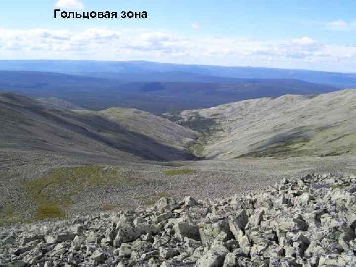 Гольцовая зона 