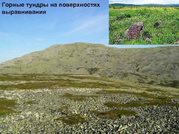 Горные тундры на поверхностях выравнивания 