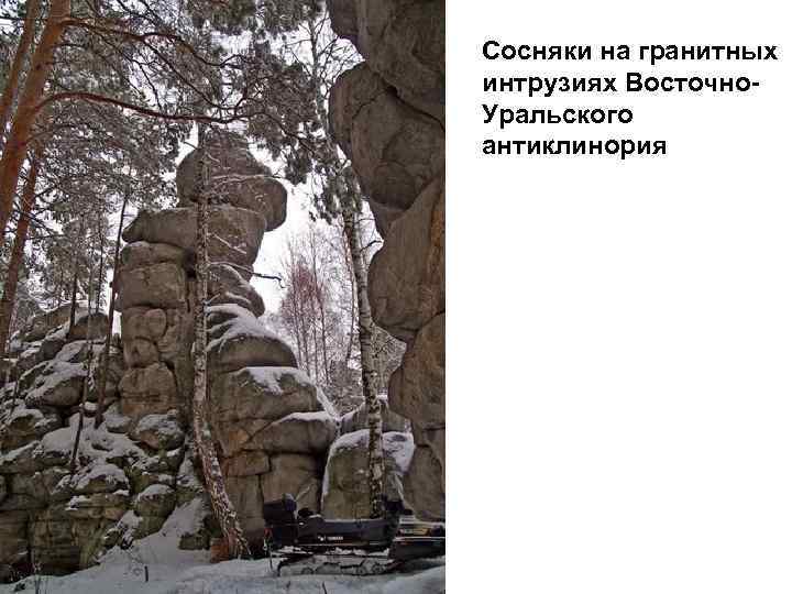 Сосняки на гранитных интрузиях Восточно. Уральского антиклинория 