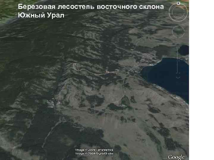 Березовая лесостепь восточного склона Южный Урал 