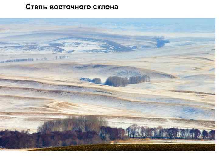 Степь восточного склона 