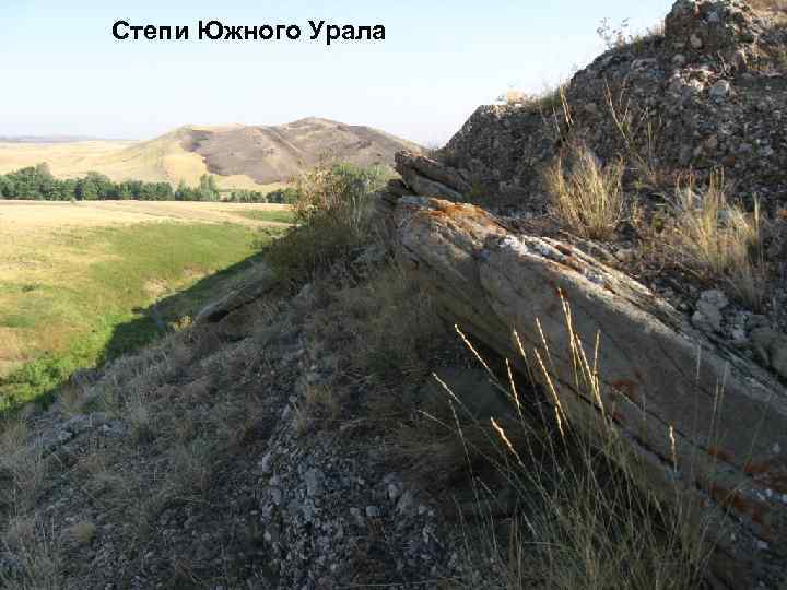 Степи Южного Урала 
