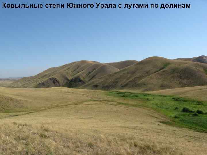 Ковыльные степи Южного Урала с лугами по долинам 