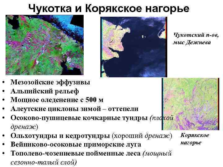Чукотка и Корякское нагорье Чукотский п-ов, мыс Дежнева • • • Мезозойские эффузивы Альпийский