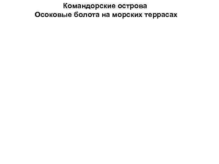 Командорские острова Осоковые болота на морских террасах 