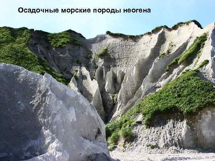 Осадочные морские породы неогена 