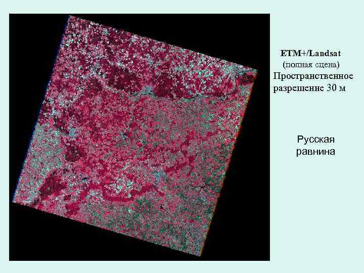 ETM+/Landsat (полная сцена) Пространственное разрешение 30 м Русская равнина 