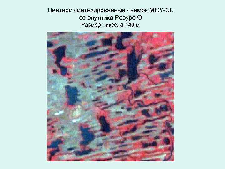 Цветной синтезированный снимок МСУ-СК со спутника Ресурс О Размер пиксела 140 м 
