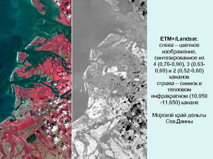 ETM+/Landsat. слева – цветное изображение, синтезированное из 4 (0, 76 -0, 90), 3 (0,