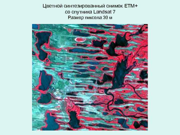 Цветной синтезированный снимок ETM+ со спутника Landsat 7 Размер пиксела 30 м 