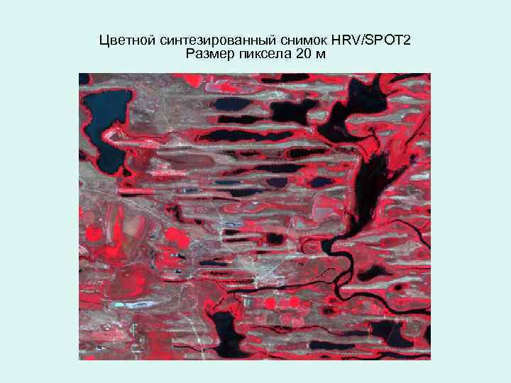 Цветной синтезированный снимок HRV/SPOT 2 Размер пиксела 20 м 