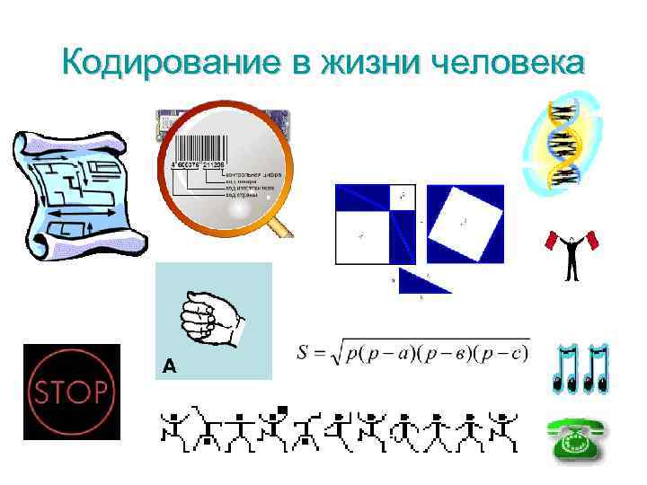 Кодирование в жизни человека 